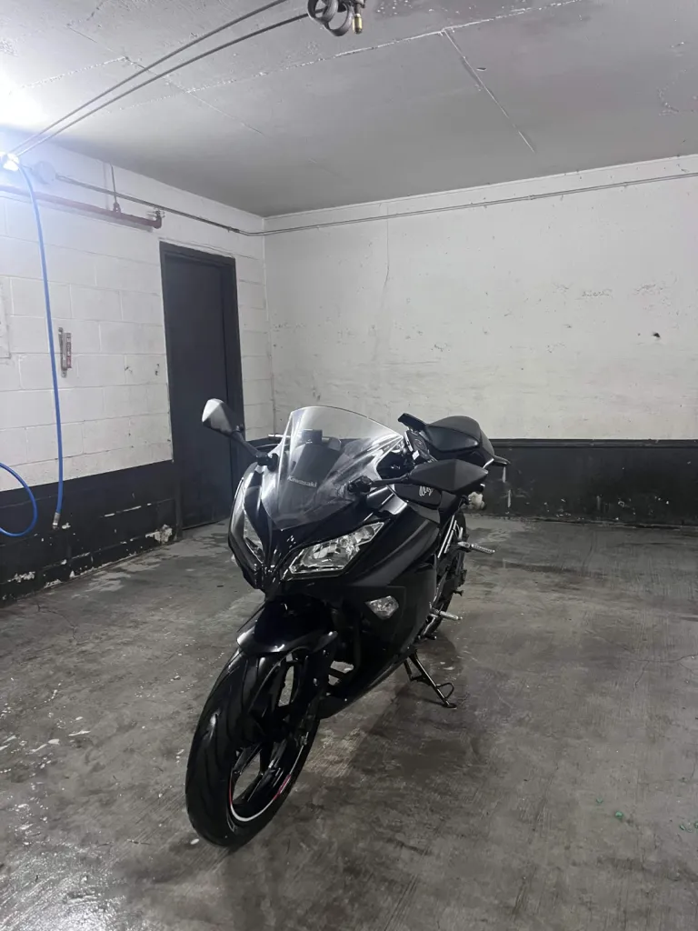 Kawasaki Ninja 300 Detail